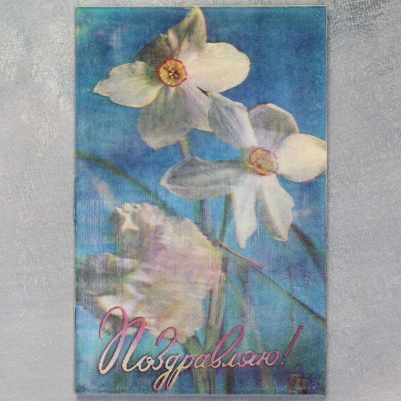 Vintage floral postcard with white narcissus flowers and pink greeting text