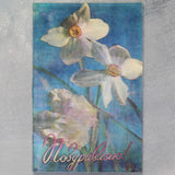 CONGRATULATIONS! Narcissus carnation 3D Stereo Russian postcard USSR 1981__ Carnation