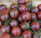 BLACK CHERRY TOMATO SEEDS 20+ INDETERMINATE vegetable GARDEN salad FREE SHIPPING Garden Plants