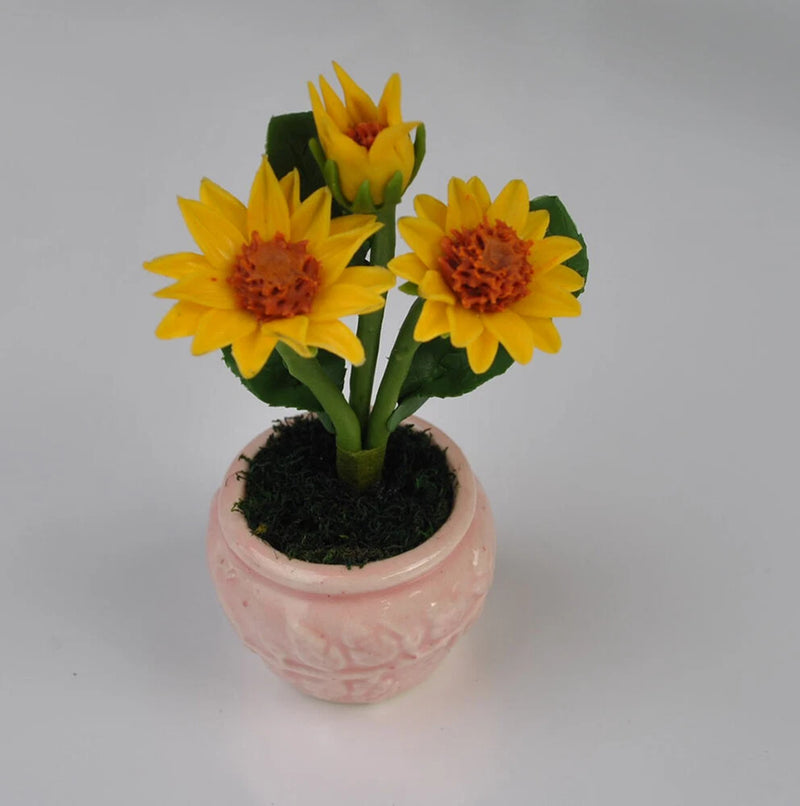 Miniature sunflower in a pink textured pot with dark soil and two yellow blooms