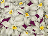 3 Yards Flower of the Month - December Narcissus designed Ro Gregg by Northcott Flowering Plants