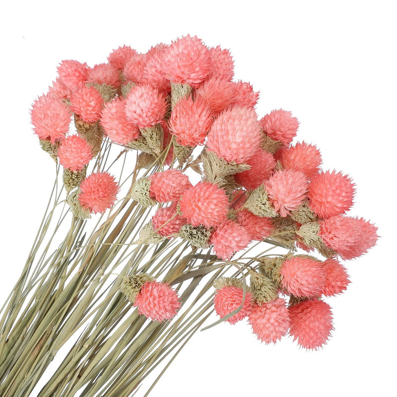 60 Pcs 16 Inch Dried Flowers for Vase Mini Pine Ball Flowers Pink Dried Flower