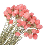 60 Pcs 16 Inch Dried Flowers for Vase Mini Pine Ball Flowers Pink Dried Flower