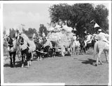 Pampas grass festooned carriage drawn by four horse team in La Fie - Old Photo Pampas Grass