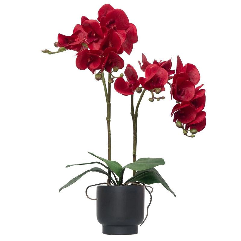 Red artificial orchid stems in dark ceramic pot with green leaves