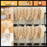40" Natural Pampas Grass Stems - Tall Decorative Pompas for Wedding, Party, Boho Pampas Grass