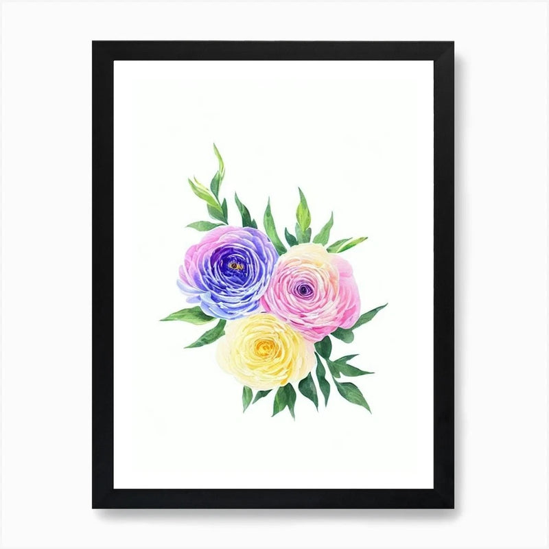 Ranunculus Watercolour Flower Art P Framed Wall Art Poster Canvas Print Picture Ranunculus