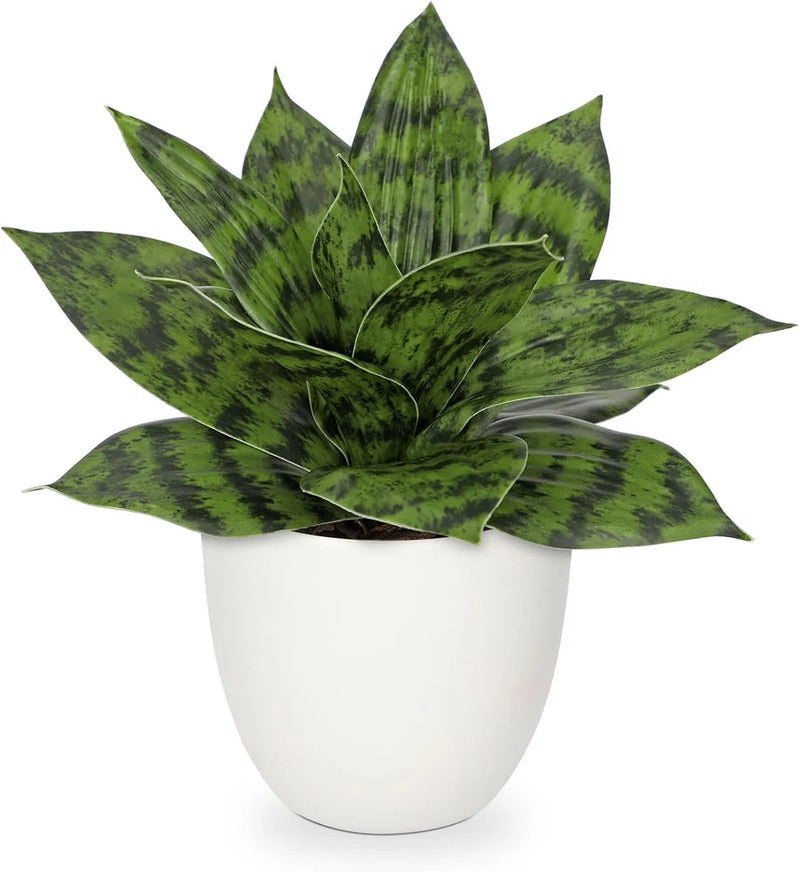 Hollyone Artificial Snake Plants 9" Faux Agave Succulent Plant Green #1 Green Plant