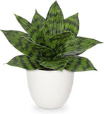 Hollyone Artificial Snake Plants 9" Faux Agave Succulent Plant Green #1 Green Plant