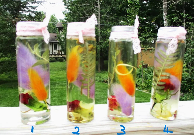 Set of four glass herbarium jars with dried flowers and herbs, clear containers