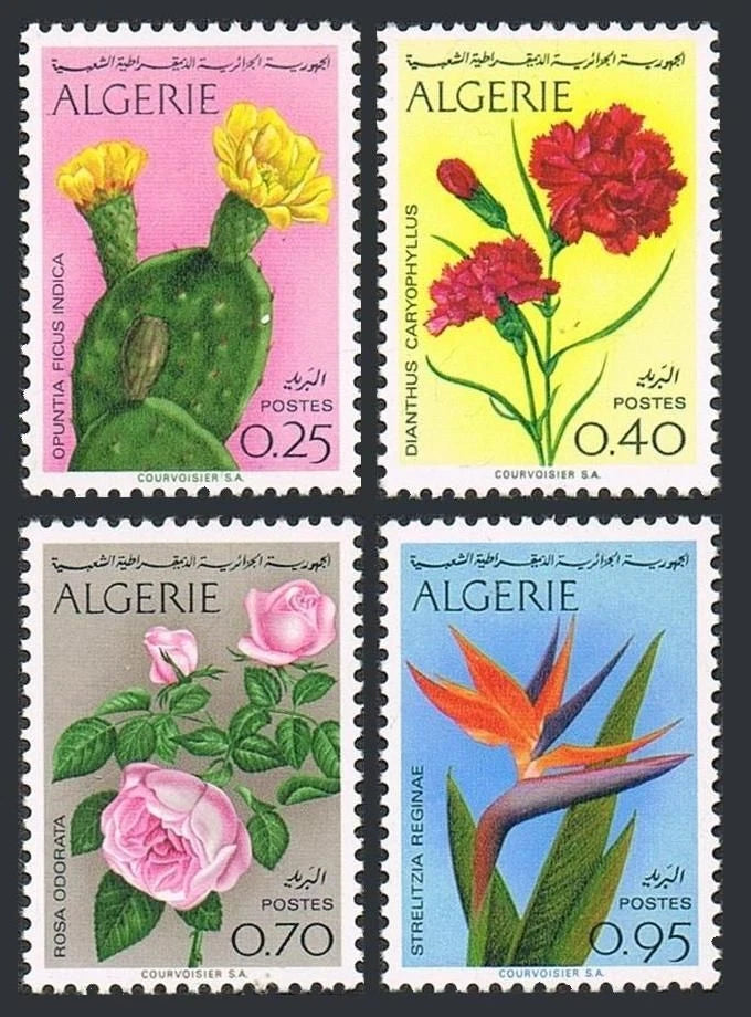 Set of four Algeria postage stamps with flowers and cactus plants