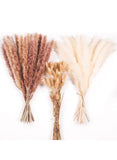 Pampas Grass,50-60pcs- Floral, Dried Grass, and Bunny Tails. Boho Decor Pampas Grass