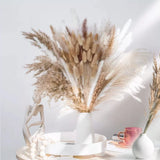 80 Pcs Boho Decor White and Natural Color Pampas Grass, 17 inch Dried Flowers Pampas Grass