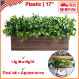 Winlyn 14" Artificial Boxwood Plants in Rectangular Wood Planter Farmhouse Green Green Plant