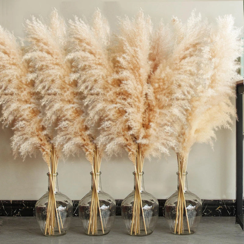 40 inch 20 Stems Natural Pampas Grass Decor Tall, Pompas Grass, Tall Pampas Dried Flower