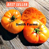 50+ Seeds Loxton Lass Tomato Easy Vegetable Garden Planting Edible Garden Plants