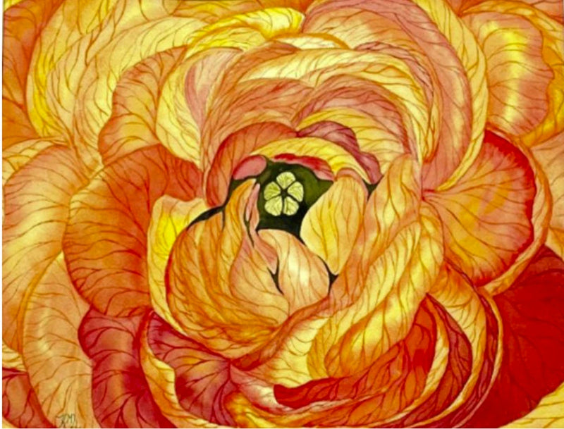 PAINTING WATERCOLOR 11X14 & WHITE DOUBLE MAT 16X20 FLOWER RANUNCULUS ORANGE ART Ranunculus