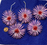 Vintage Plastic Small Pink Daisy Christmas Flowers with Pink Mica Tips Daisies