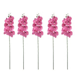 Artificial Phalaenopsis Orchid Stems 5 Pack for Creative Floral Design Green Plant
