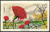 pk08294:Postcard-Artist Signed Ken Haag,Scarlet Carnation,Ohio State Flower Carnation