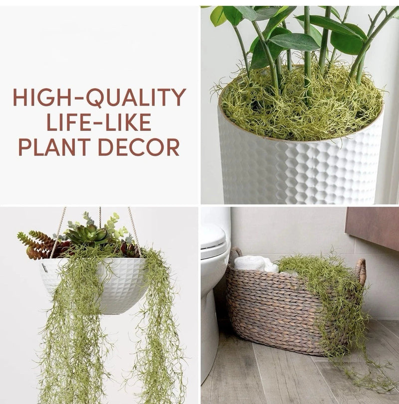 Spanish moss air plant in white textured planter, trailing green strands