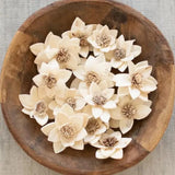 Natural Dried Rukmani Flowers - Bag of 16 (2.5"D), White, Botanical, Vase Filler Dried Flower