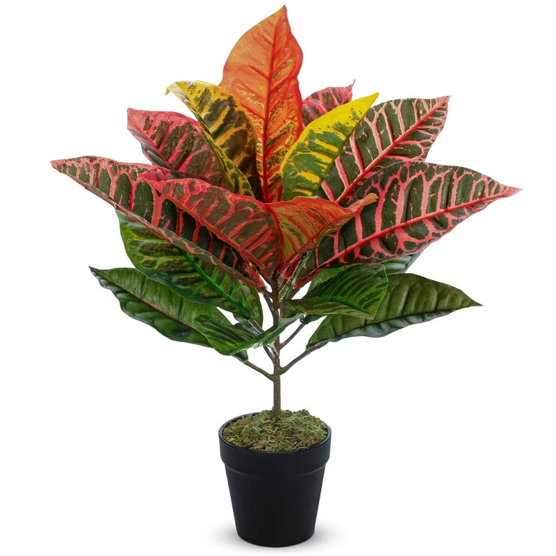 Artificial croton plant with multicolor red, green, and yellow leaves in a black pot