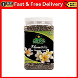 Nelson Plumeria Plant and All Flowering Tropicals Food Ferns Orchids Lilys In... Orchids
