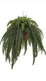 50Ó Giant Boston Fern Plant in Hanging Cone Basket Home Decor. Retail $226 Green Plant