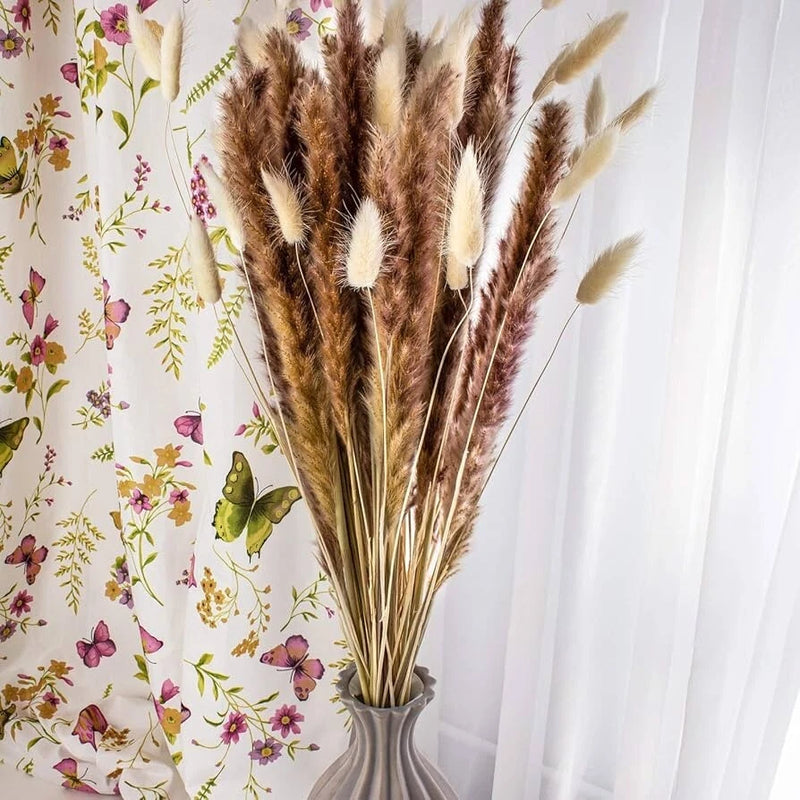 Jade Luxe dried Pampas Grass 60pcs 24" Pampas Grass