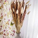 Jade Luxe dried Pampas Grass 60pcs 24" Pampas Grass
