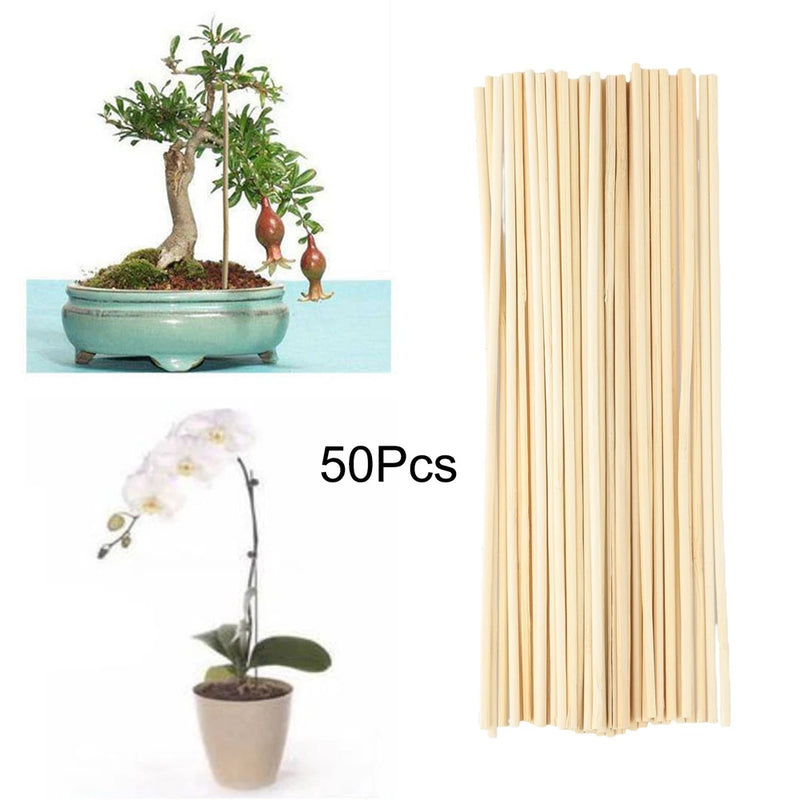 Pack of 50 light wooden plant support stakes, straight bundled for potted plants
