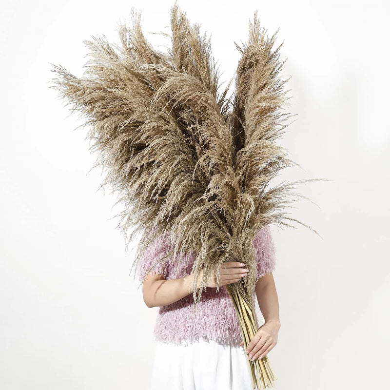 9 Stems Pampas Grass Decor Tall 48''/4 FT Long Fluffy Dried Pompas Grass Larg... Pampas Grass