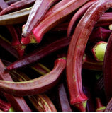 Red Burgundy Okra seed NO-GMO 50+seeds garden High Germination Plant Heirloom Garden Plants