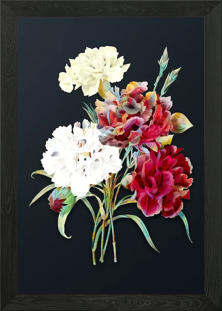 Vintage Carnation Flower Framed Wall Art Poster Canvas Print Picture Carnation