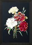 Vintage Carnation Flower Framed Wall Art Poster Canvas Print Picture Carnation