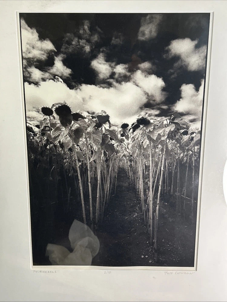 Jeff Cathrow Signed Photo ÒTournesolsÓ 2/20 - Framed Sunflowers Limited Edition Sunflower