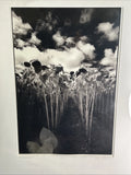 Jeff Cathrow Signed Photo ÒTournesolsÓ 2/20 - Framed Sunflowers Limited Edition Sunflower