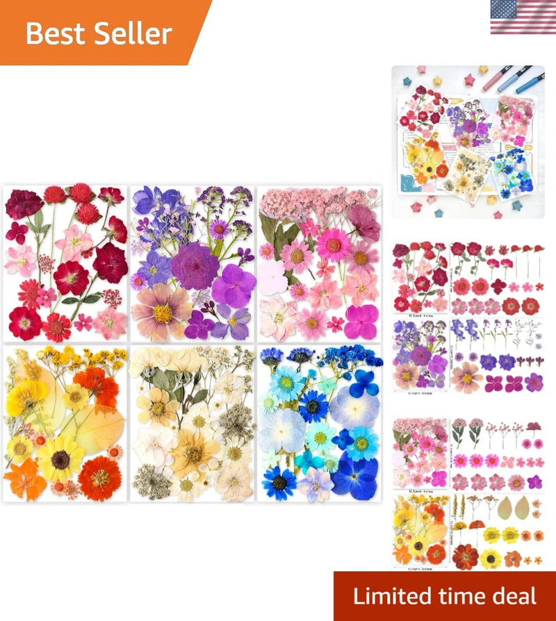 Nature Dried Pressed Flowers for Resin Craft DIY Jewelry Nail Art Scrapbooking Dried Flower