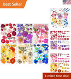 Nature Dried Pressed Flowers for Resin Craft DIY Jewelry Nail Art Scrapbooking Dried Flower