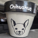 Hand Painted Terra Cotta Garden Pot - Chihuahua Garden Plants