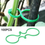 Strong and Reliable Plant Support Clips for Climbing Plants 100 Pack Garden Plants