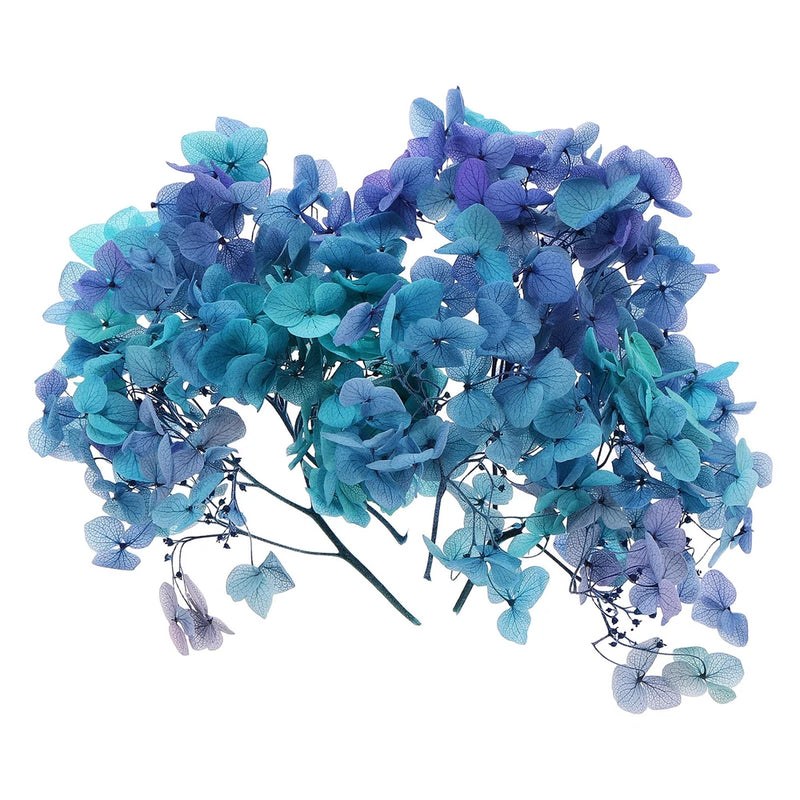 10g Mini Dried Hydrangea Flower Natural Pressed Flower Gradient Blue Purple Dried Flower