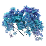 10g Mini Dried Hydrangea Flower Natural Pressed Flower Gradient Blue Purple Dried Flower