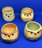 Mini Ceramic Plant Pot Owl Succulent Flower Planter Bonsai Box Home Garden Garden Plants