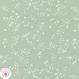 Moda DAWN ON THE PRAIRIE 45577 18 Mint Aqua Blue Floral FANCY THAT Quilt Fabric Flowering Plants