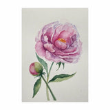 original watercolor painting Peony flower Art Pink Peony painting floral artwork Peony