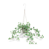 Variegated Ivy Plant Hanging Artificial Plant Home Decor Green Green Plant