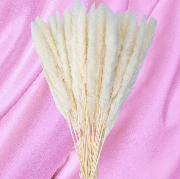 40 Pack GlamStems White Dried Pampas Grass Decor 18in w/ Safe Box | Pampas Grass Pampas Grass
