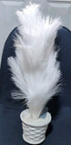 Wayland Square Fake White Pampas Grass Tree in ceramic vase Pampas Grass
